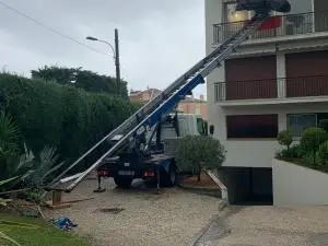 20241008_074142000_iOS