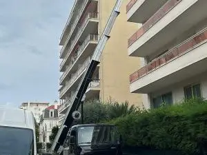 20240904_081056929_iOS