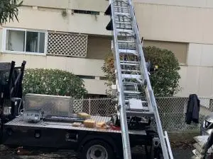 20250128_085305000_iOS